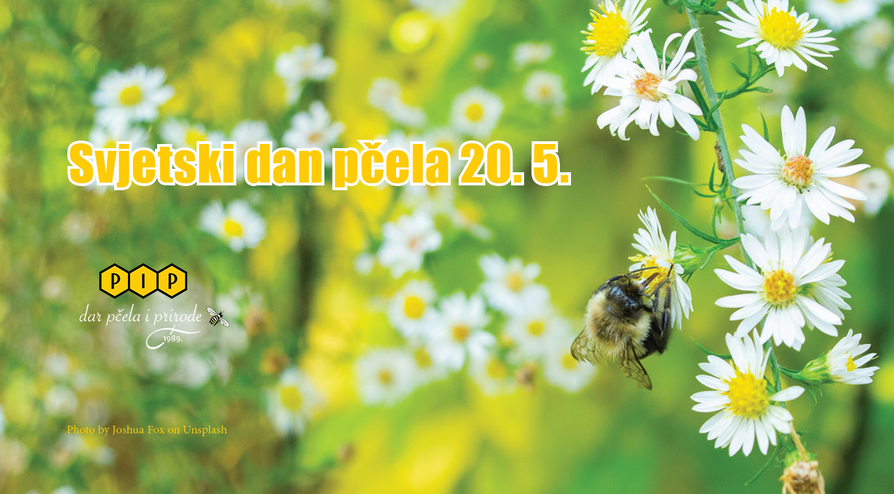 20. svibnja – Svjetski dan pčela! 